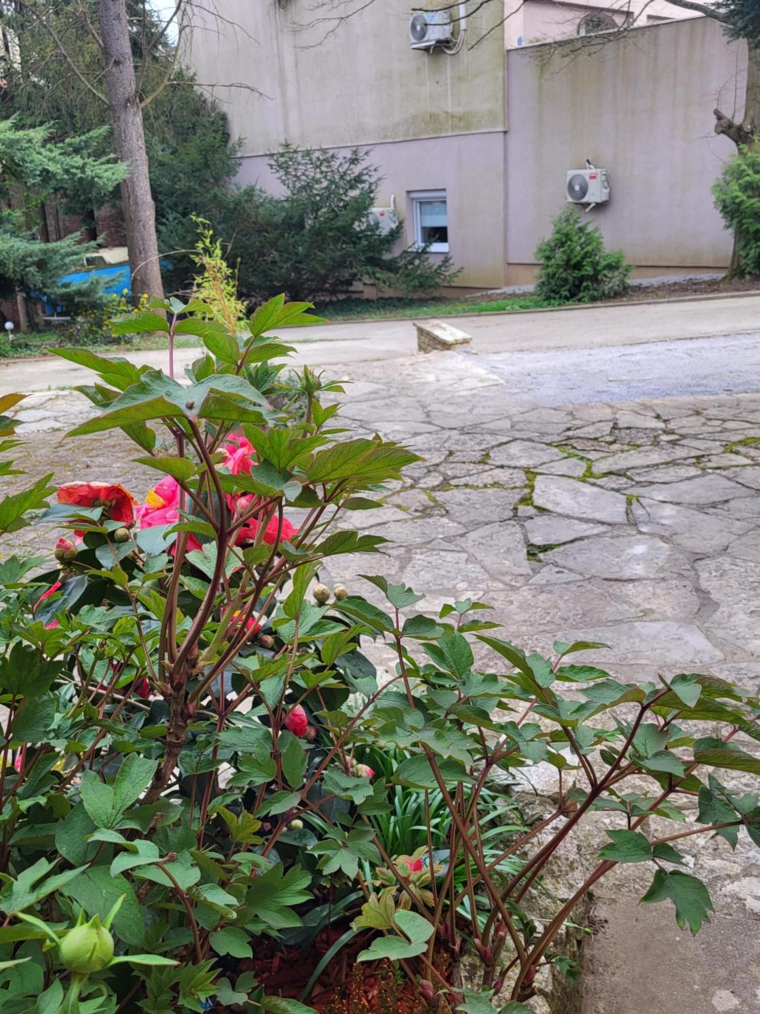 Villa Vino & Grad Zagreb Buitenkant foto