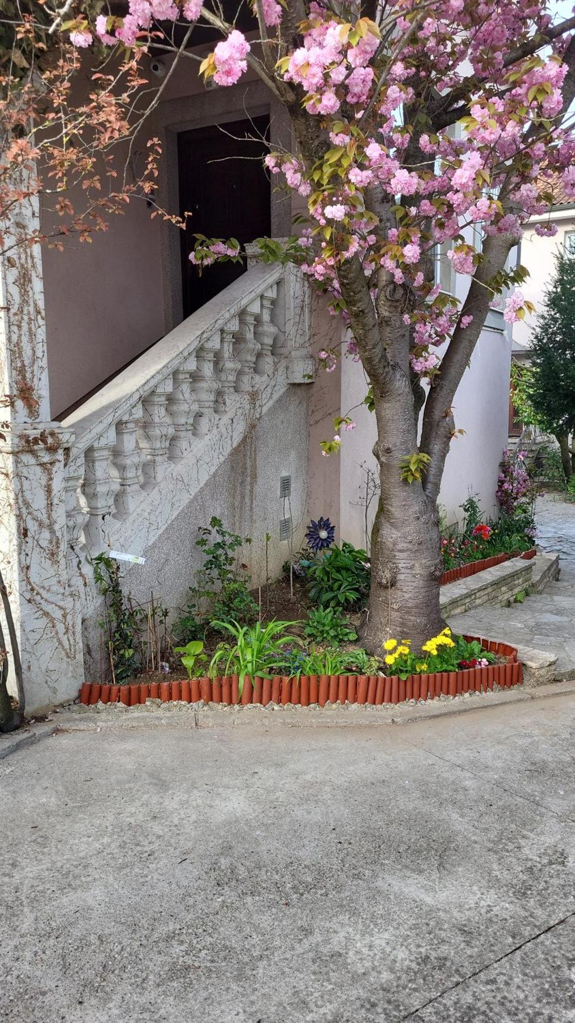 Villa Vino & Grad Zagreb Buitenkant foto